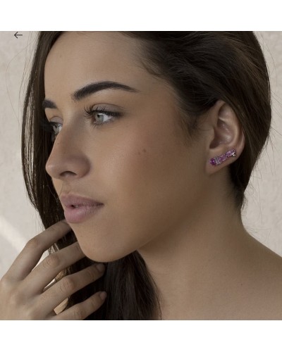 Pendientes Trepadores plata de ley